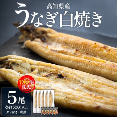 【限定100個】うなぎ 5尾 高知県産うなぎの白焼き 100g～120g×5尾 yw-0085
