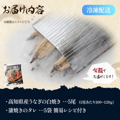 【限定100個】うなぎ 5尾 高知県産うなぎの白焼き 100g～120g×5尾 yw-0085