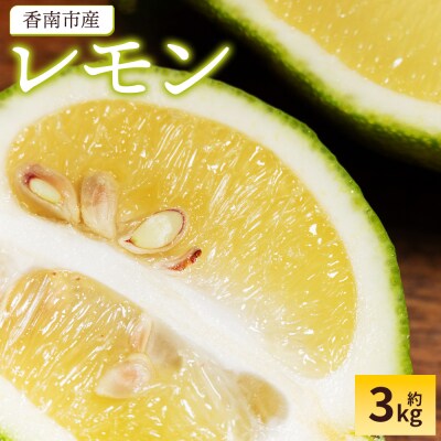 【2026年9月発送】レモン 3kg sj-0011