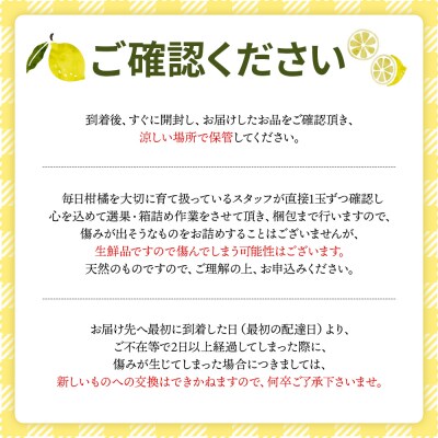 【2026年9月発送】レモン 2kg sj-0010