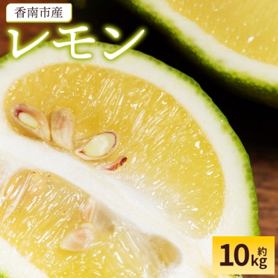 【2026年9月発送】レモン 10kg 香南市産 sj-0013