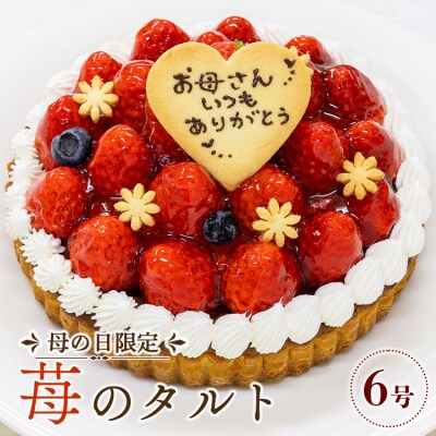 【母の日限定】苺屋 苺のタルト6号(直径18cm) it-0088