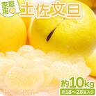 【先行受付】文旦10kg家庭用 訳あり 大小混合(L～3L) 約18～28玉 yk-0052
