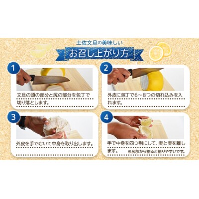 【4月12日決済分まで今季発送】文旦10kg家庭用 約18～28玉 yk-0070