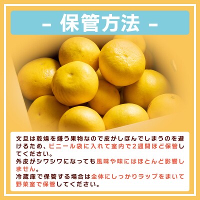 【先行受付】文旦10kg家庭用 訳あり 大小混合(L～3L) 約18～28玉 yk-0052
