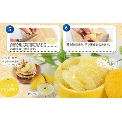 文旦10kg家庭用 10キロ 約18～28玉 訳あり yk-0070