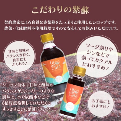 【先行受付】赤紫蘇シロップ100ml(1本) 赤紫蘇ジュース tc-0024