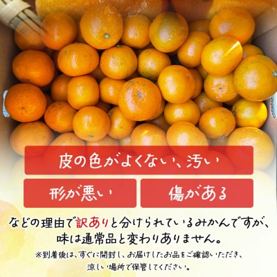 みかん 5kg 小玉 訳あり 高橋農園 山北みかん 露地(S～M)B品 th-0019