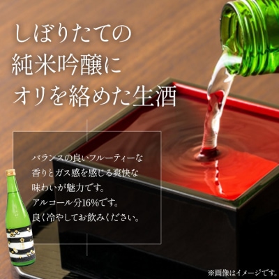 【2回定期便】純米吟醸いとをかし酒&おりがらみ生酒 720ml×各1本 Wgs-0130