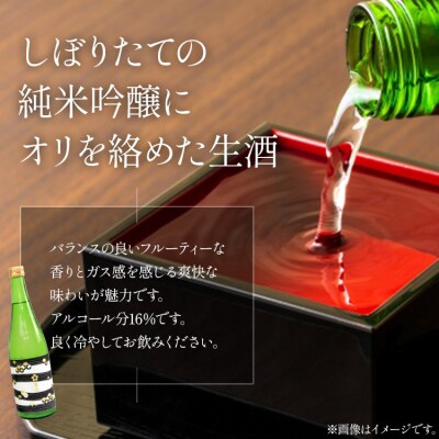 【6回定期便】純米吟醸いとをかし生酒&おりがらみ生酒 720ml×各1本 Wgs-0132