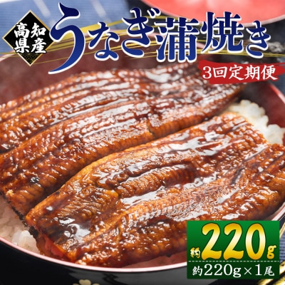 【3回定期便】高知県産養殖うなぎ蒲焼き 約220g×1尾 Wfb-0058