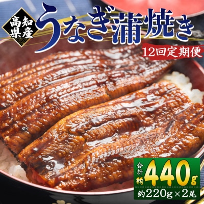 【12回定期便】高知県産養殖うなぎ蒲焼き 約220g×2尾 Wfb-0064