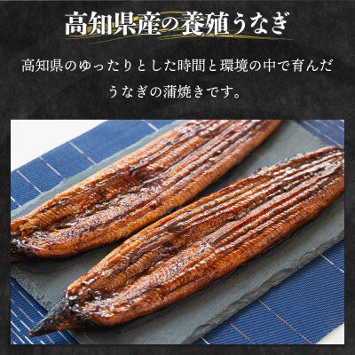 【6回定期便】高知県産養殖うなぎ蒲焼き 約220g×3尾 Wfb-0067