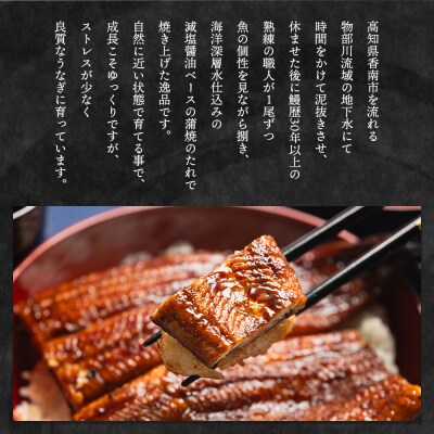 【6回定期便】高知県産養殖うなぎ蒲焼き 約220g×3尾 Wfb-0067