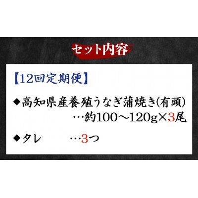 【12回定期便】高知県産養殖うなぎ蒲焼き 100～120g 3尾 Wfb-0044