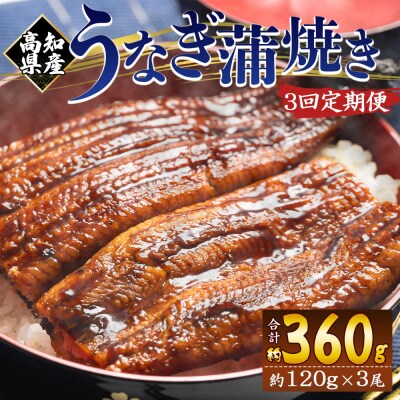 【3回定期便】高知県産養殖うなぎ蒲焼き 100～120g 3尾 Wfb-0042