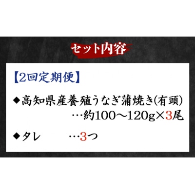 【2回定期便】高知県産養殖うなぎ蒲焼き 100～120g 3尾 Wfb-0041