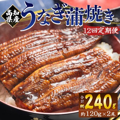 【12回定期便】高知県産養殖うなぎ蒲焼き 100～120g 2尾 Wfb-0040