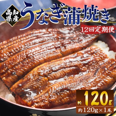 【12回定期便】高知県産養殖うなぎ蒲焼き 100～120g 1尾 Wfb-0036