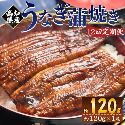 【12回定期便】高知県産養殖うなぎ蒲焼き 100～120g 1尾 Wfb-0036