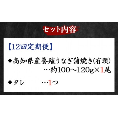 【12回定期便】高知県産養殖うなぎ蒲焼き 100～120g 1尾 Wfb-0036