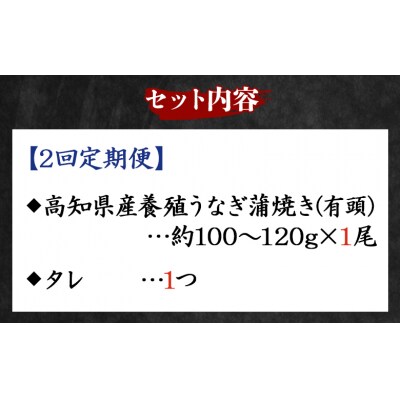 【2回定期便】高知県産養殖うなぎ蒲焼き 100～120g 1尾 Wfb-0033