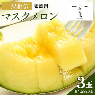 一果相伝マスクメロン家庭用 3玉入り tn-0029
