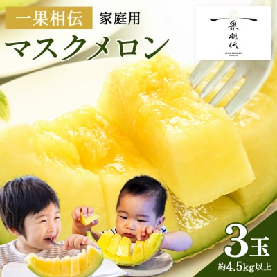 【ご家庭用】高知県産 一果相伝マスクメロン3玉 tn-0029