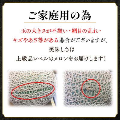 【ご家庭用】高知県産 一果相伝マスクメロン3玉 tn-0029