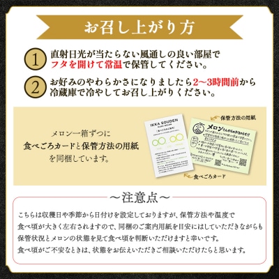 一果相伝マスクメロン家庭用 3玉入り tn-0029