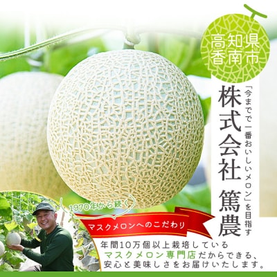 【ご家庭用】高知県産 一果相伝マスクメロン3玉 tn-0029