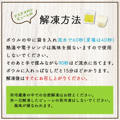 【2回定期便】完熟マスクメロンピューレ 120g×6袋 Wtn-0030