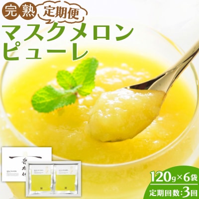 【3回定期便】完熟マスクメロンピューレ 120g×6袋 Wtn-0031