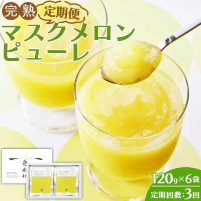 【3回定期便】完熟マスクメロンピューレ 120g×6袋 Wtn-0031