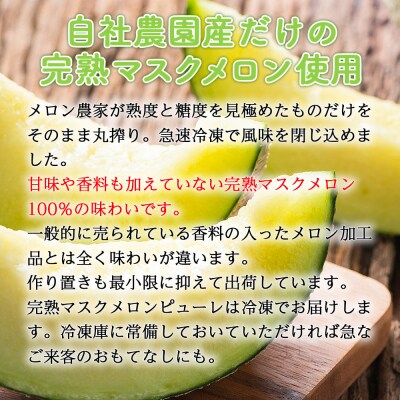 【3回定期便】完熟マスクメロンピューレ 120g×6袋 Wtn-0031