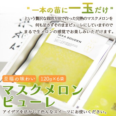 【3回定期便】完熟マスクメロンピューレ 120g×6袋 Wtn-0031