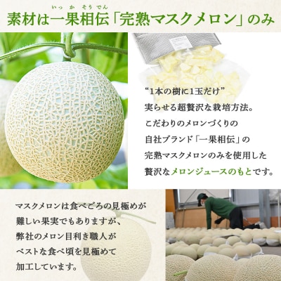 メロンジュースのもと 約800g 約165g×5パック tn-0032