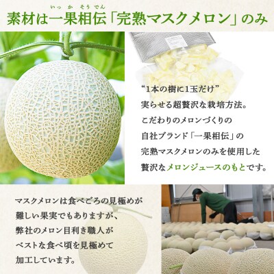 メロンジュースのもと 約800g 約165g×5パック tn-0032