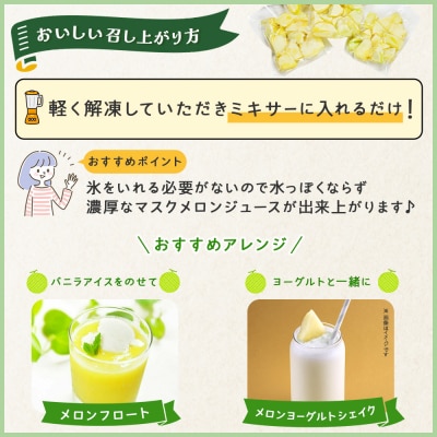 メロンジュースのもと 約800g 約165g×5パック tn-0032