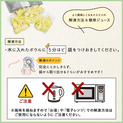 メロンジュースのもと 約800g 約165g×5パック tn-0032