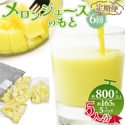 【6回定期便】メロンジュースのもと 約800g 約165g×5パック Wtn-0035