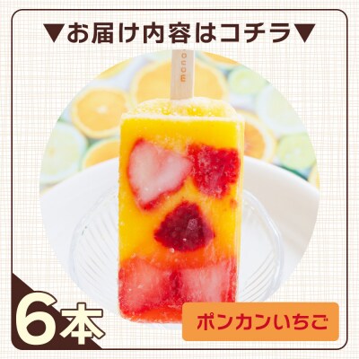 手作りアイスキャンディー ポンカンいちご 6本セット ys-0020