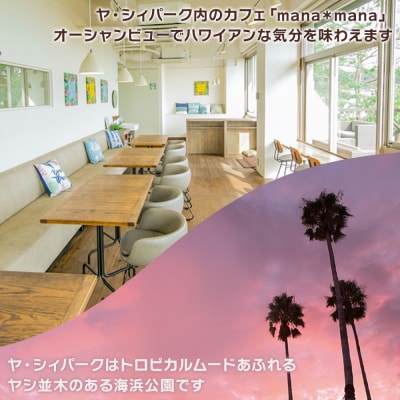 手作りアイスキャンディー ポンカンいちご 6本セット ys-0020