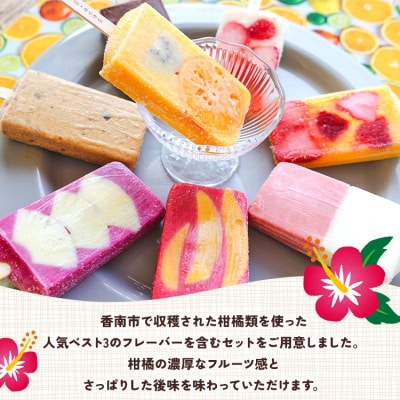 【2回定期便】手作りアイスキャンディー 12本セット Wys-0017