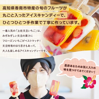 【2回定期便】手作りアイスキャンディー 12本セット Wys-0017