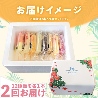 【2回定期便】手作りアイスキャンディー 12本セット Wys-0017