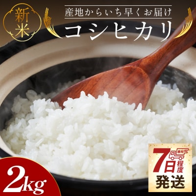 【7日程度で発送】新米コシヒカリ 2kg こしひかり at-0041