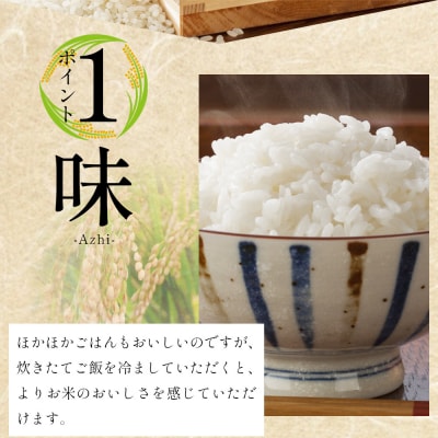 【7日程度で発送】新米コシヒカリ 2kg こしひかり at-0041