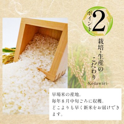 【7日程度で発送】新米コシヒカリ 2kg こしひかり at-0041
