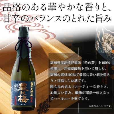 日本酒セット 純米大吟醸 龍奏 純米吟醸 いとをかし 720ml 各1本 gs-0197
